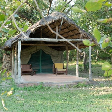 Hippo Lodge Kafue Kültér fotó